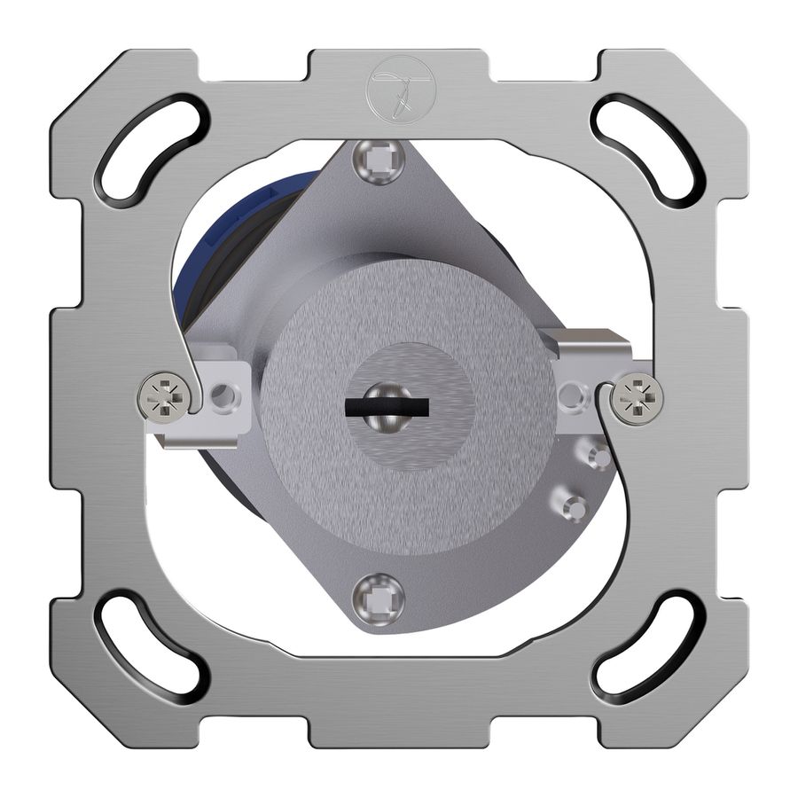 Einsatz Schwenktaster FH mit Sicherheitsschloss