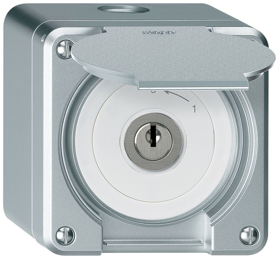 AP-Schlüsselschwenktaster robusto IP55 aluminium mit Deckel 1P