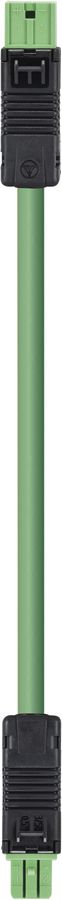 Prolunga Wieland 2P 5m verde spina/presa per Bus-KNX