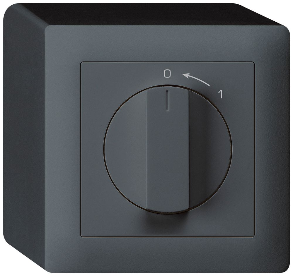 AP-Schwenktaster 0<-1/1L anthrazit kallysto mit Drehgriff