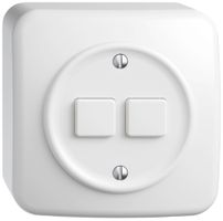 AP-Druckschalter STANDARDdue Wiser SNAPFIX® 2 Kanal 2 Tasten WLAN ws