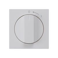 Schwenktaster 0<-1/1L hellgrau kallysto mit Drehgriff