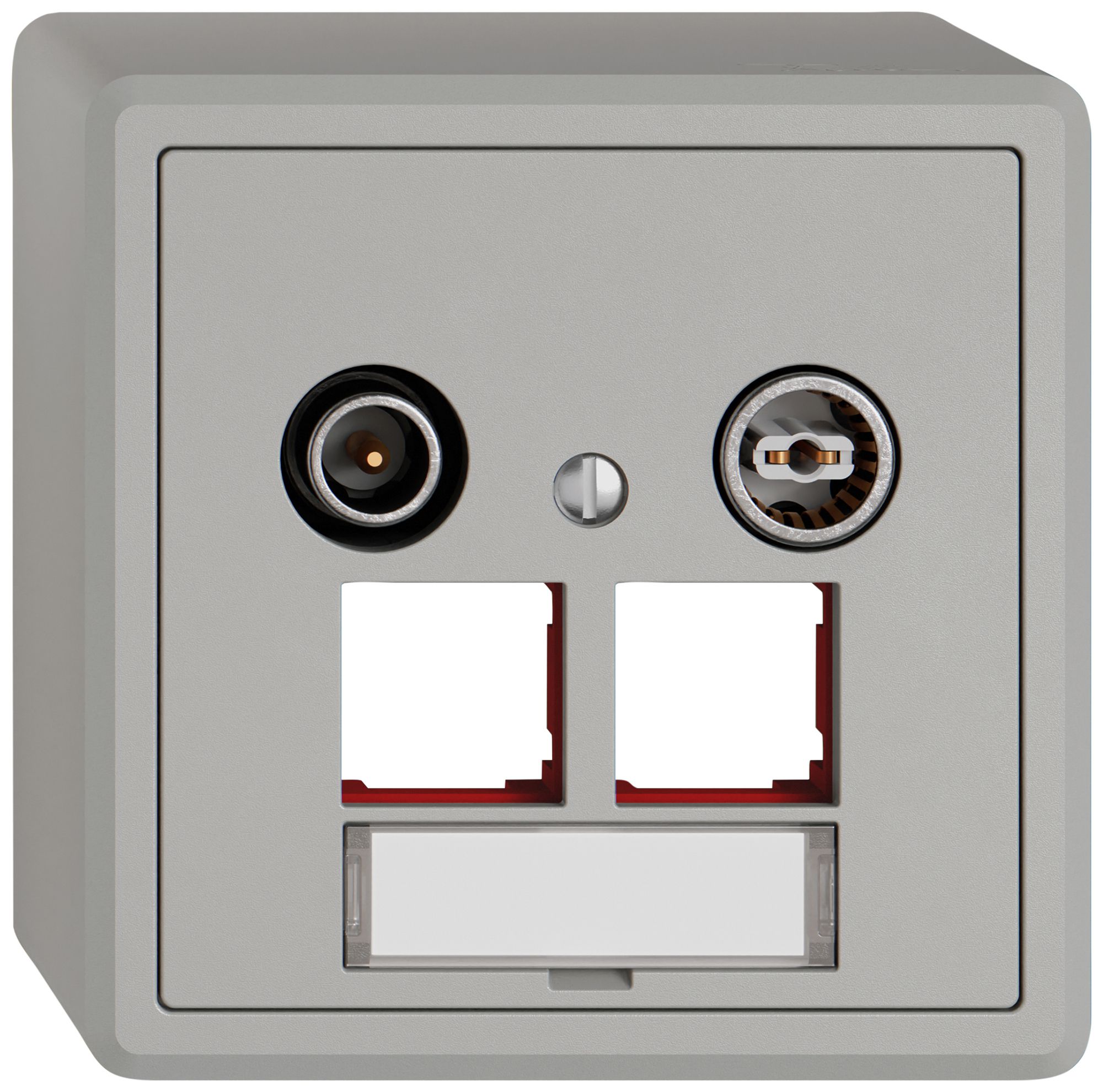 Prise multimédia AP TV-R EDIZIO.liv SNAPFIX® EASYNET p.2×RJ45 S-One 19dB grc