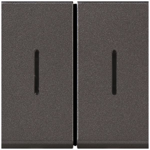 EB-Wipptaster MOS 2×AR 6A magnesium 2 Module