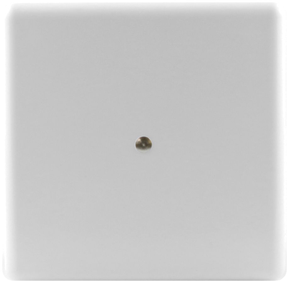 Abdeckplatte Ammer Gr.I weiss