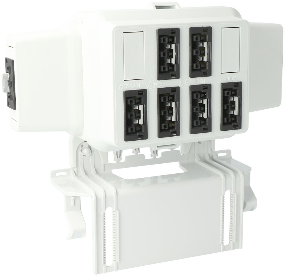 Gehäuse AGRO, in: 3P sw, out: 6×3P sw L1, WAGO