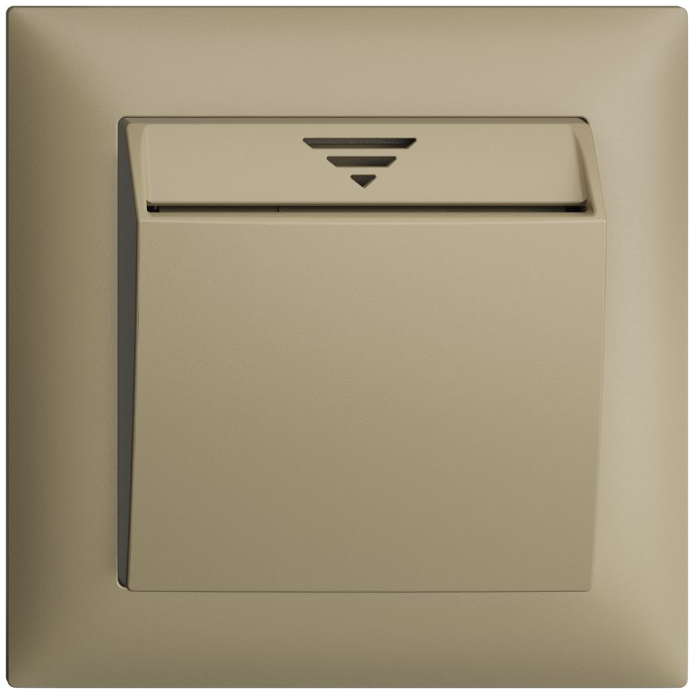 UP-Schalter Hotelcard 250VAC 1L EDIZIOdue sand