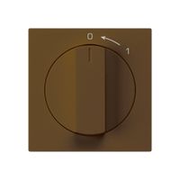 Schwenktaster 0<-1/1L braun kallysto mit Drehgriff
