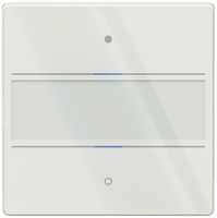 UP-Tastsensor Theben LUXORliving iON2 G LED Mit Beschriftungsfeld weiss