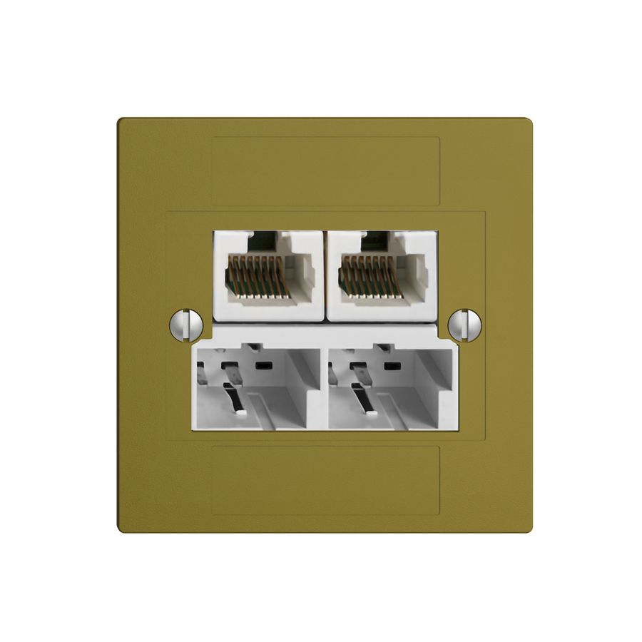 UP-Dose SOHO 2×TT/2×RJ45/u olive getr.ITplus EDIZIOdue