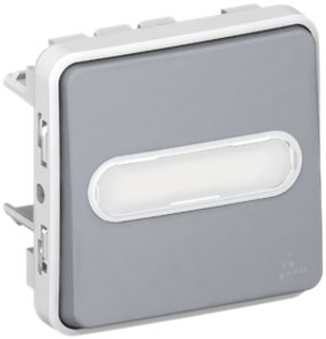 Leuchtwipptaster PLEXO 0/1L grau