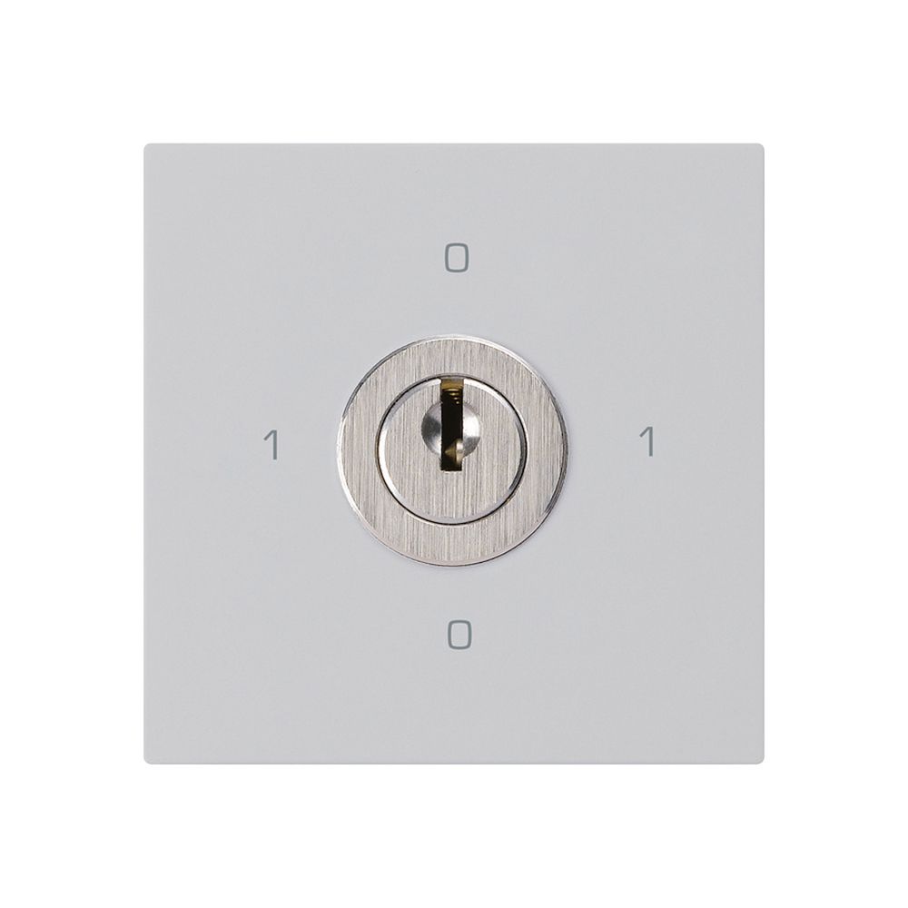 Intérieur interrupteur à clé kallysto 0/3L gris clair avec serrure Kaba 8