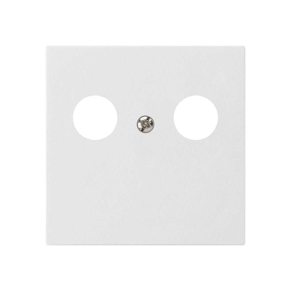 Placca frontale kallysto per R&M HWS bianco 2×coass.