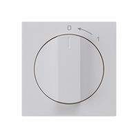 Schwenktaster 0<-1/2L hellgrau kallysto mit Drehgriff