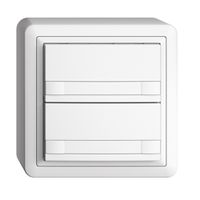 AP-KNX-Taster RGB EDUE, 250mW, o.LED, m.Papiereinlage, 2×Taste, 2×Tastenb., ws