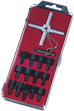 Schaltschrank + Mastschlüssel -Set PROFI