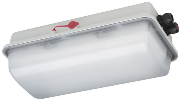 LED-Rettungszeichenleuchte Ex SCHUCH e856F L05/1/1.5 6W 510lm