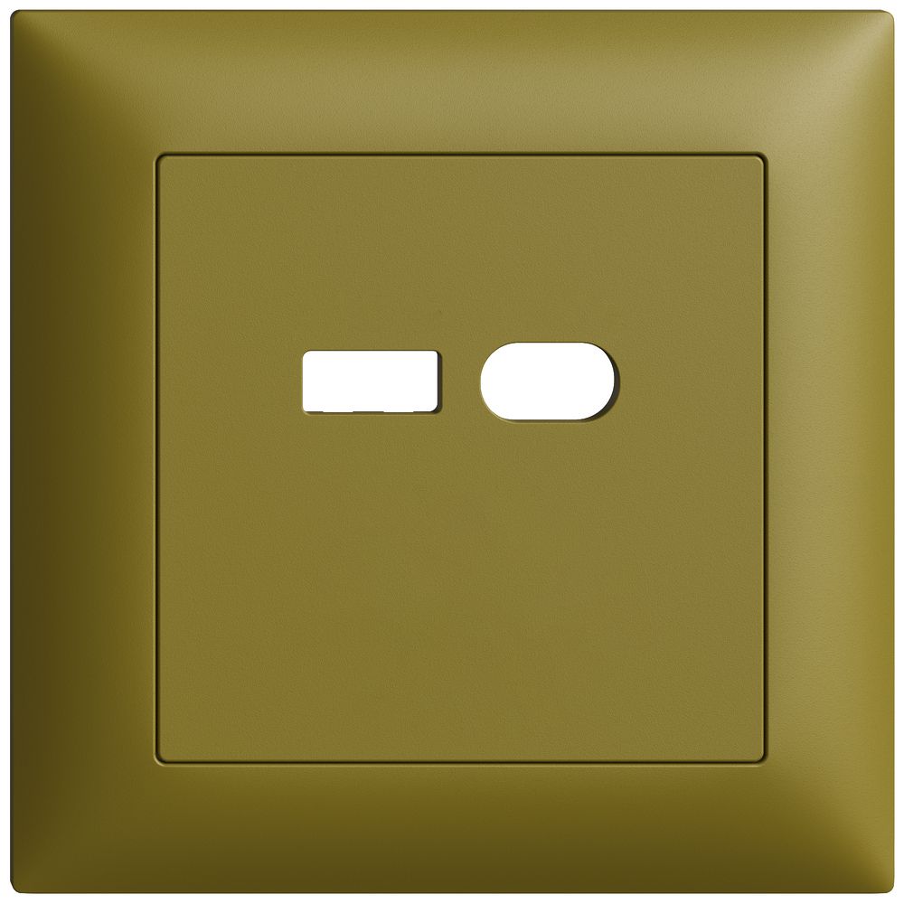 UP-Montageset Feller EDIZIOdue für Steckdose USB 18W Typ A + Typ C olive