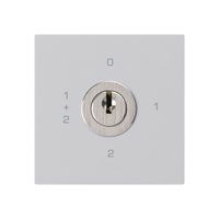 Einsatz zu Schlüsselschalter kallysto 1/1L hellgrau mit Schloss Kaba 8