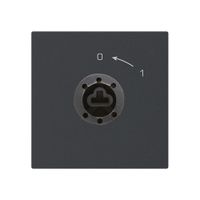 SchwenkTaster 0<-1/1L schwarz kallysto für Schloss ohne Zylind