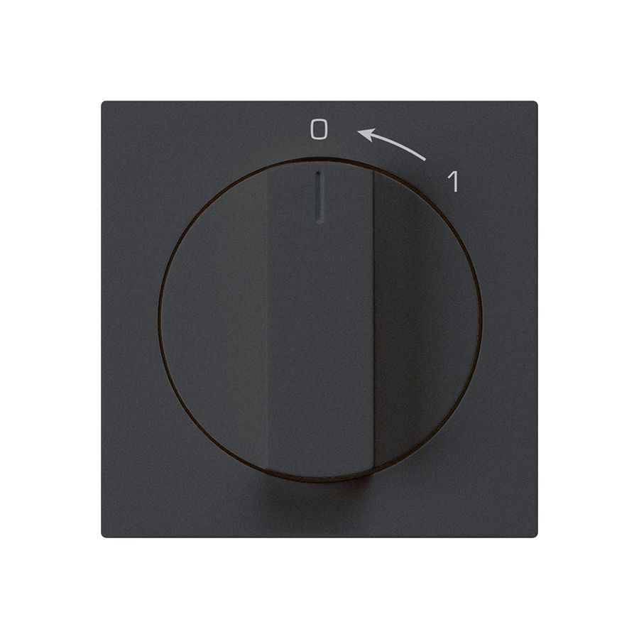 Schwenktaster 0<-1/2L schwarz kallysto mit Drehgriff