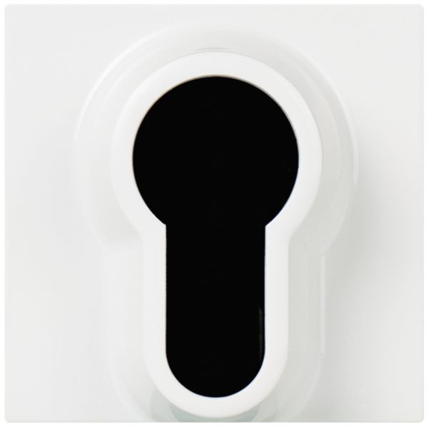 EB-Schwenktaster MOS A+R ss/EUR weiss 2 Module I-0-II