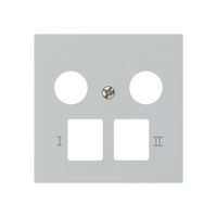 Placca frontale kallysto per R&M HWS grigio chiaro 2 fori multimedia