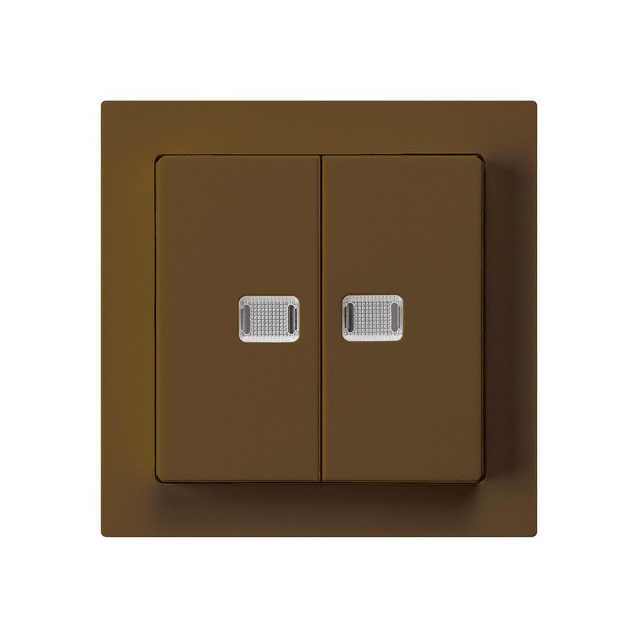 Leuchttaster kallysto 2×A-R/1P braun mit 2 Linsen