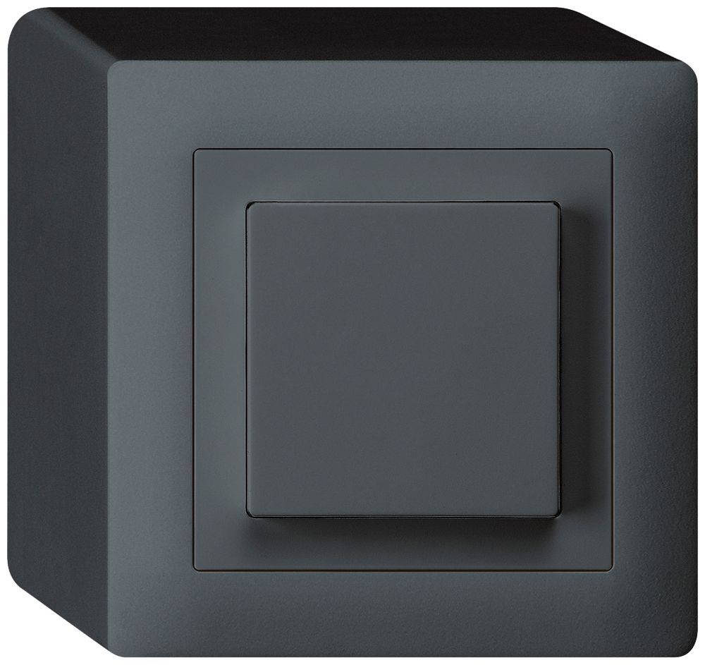 AP-Taster kallysto AR/2L anthrazit