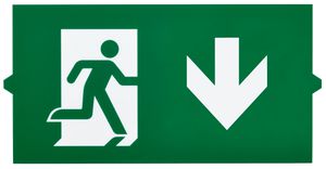 Piktogramm Philips EM155Z Ausgang nach unten Doppelseitig 314×158mm