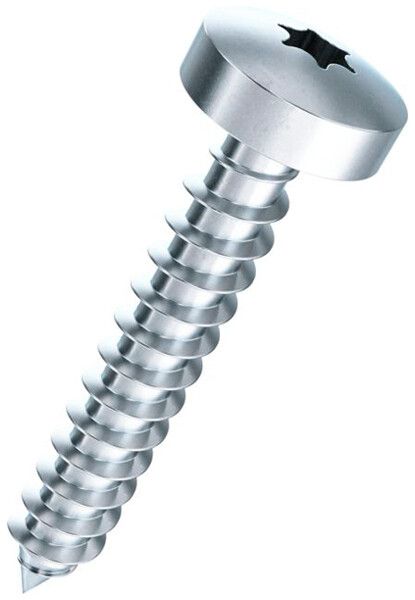 Vis à tôle à tête bombée FERRONORM Torx 25mm Ø4.8×53.7mm acier zingué