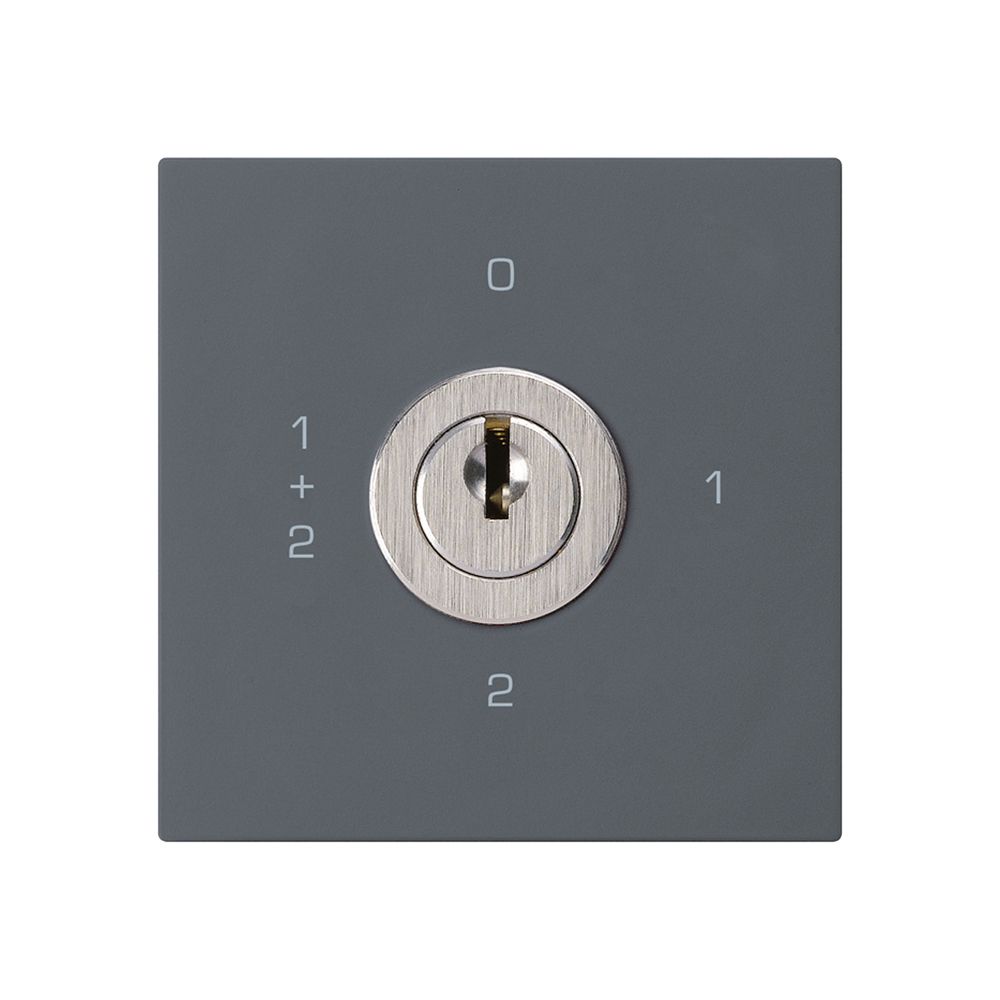 Einsatz zu Schlüsselschalter kallysto 1/1L anthrazit mit Schloss Kaba 8