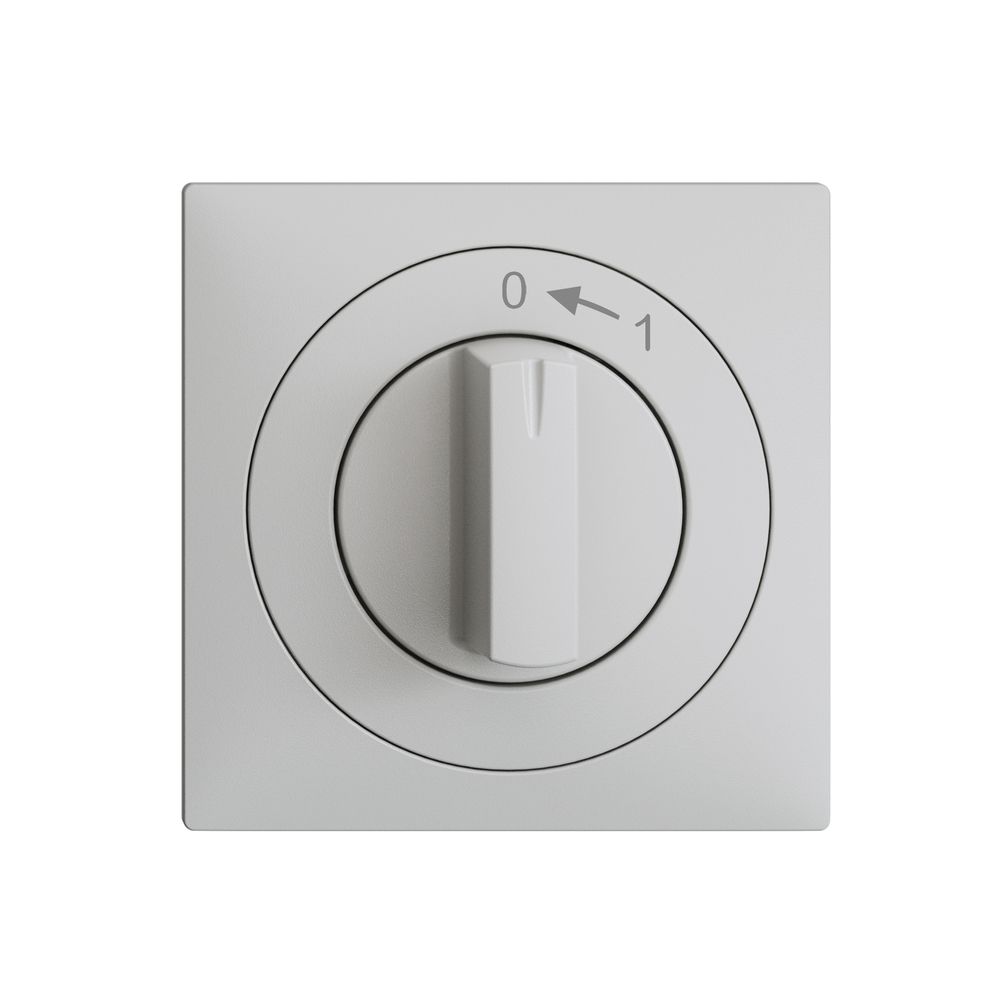 Frontset EDIZIOdue 0<-1 hellgrau 60×60mm für Schwenktaster