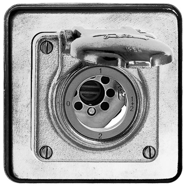 Interruttore rot. INC bagn.1/1P Al natura per serrat. senza cilind