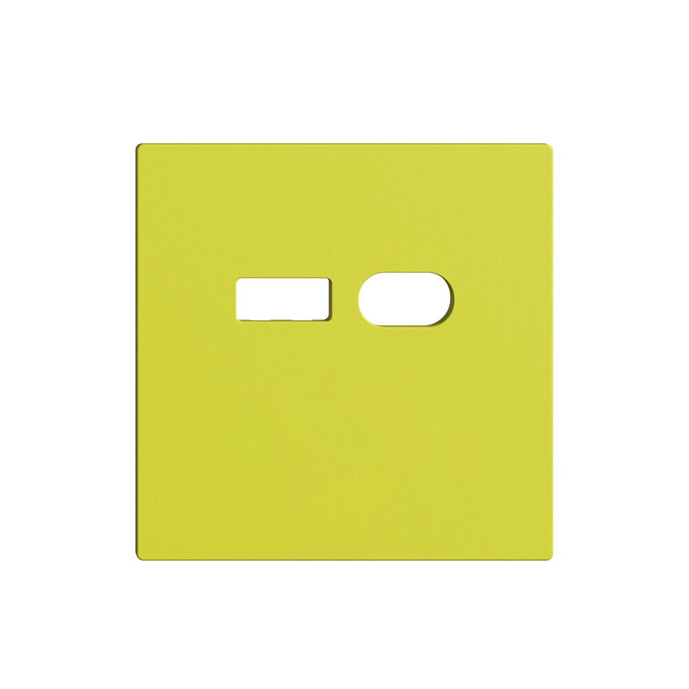 Montageset Feller EDIZIOdue für Steckdose USB 18W Typ A + Typ C lemon