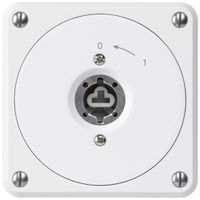 Contatto rotativo a chiave INC robusto bianco senza coperchio senza cilindro 1P