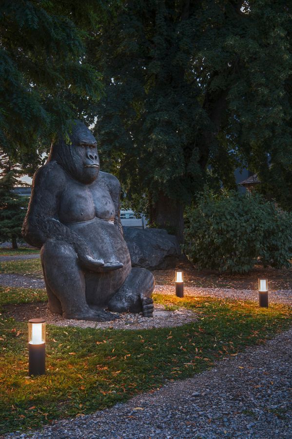 Testa d.lampa.LED SLV M-POL M Clear 11W 590lm 927/930 IP65 Ø122.6mm antr.