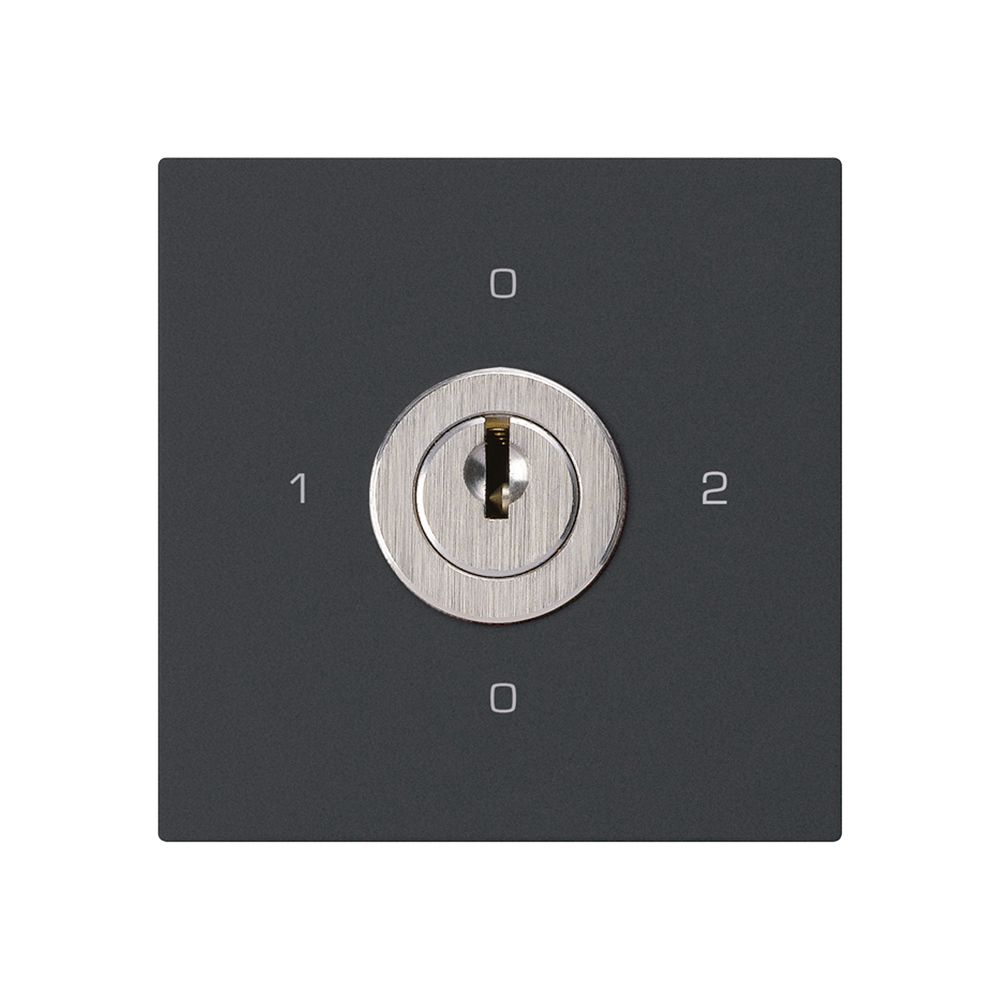 Intérieur interrupteur à clé kallysto 2/1L noir avec serrure Kaba 8