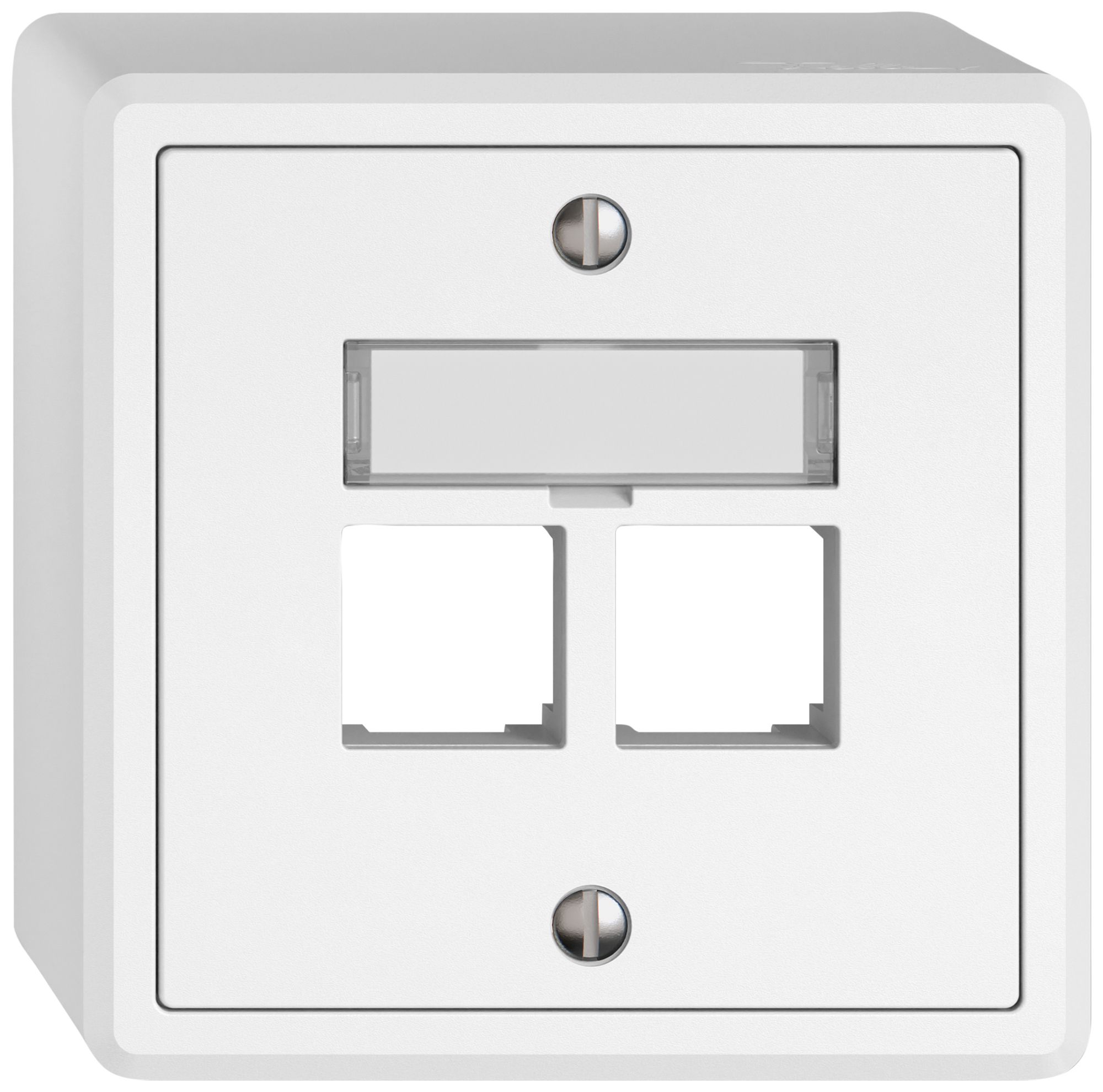 AP-Montageset EDIZIO.liv EASYNET S-One SNAPFIX® gerade 2×RJ45 ws