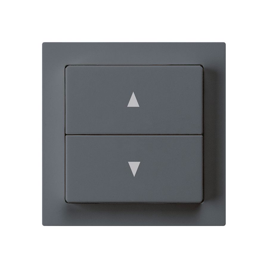 Storentaster kallysto anthrazit mit 2 Funktionstasten Steckklemme