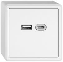 Prise de charge USB AP EDIZIO.liv SNAPFIX® 230VAC 18W 1×USB A 1×USB C bc