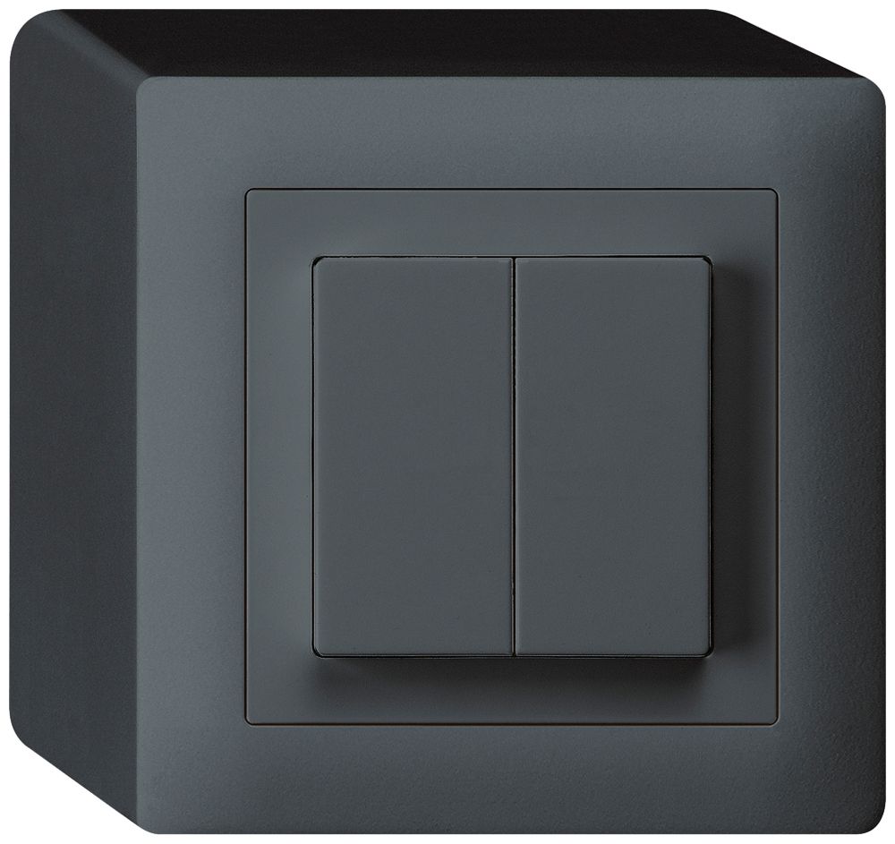 AP-Taster kallysto 2×AR/1L anthrazit