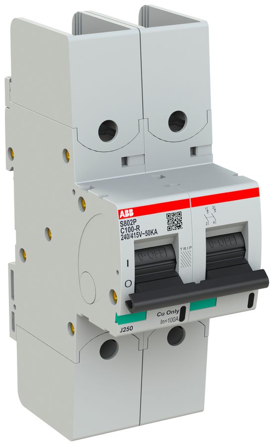Leitungsschutzschalter ABB S802P-C100-R 2P 400V C-100A 50kA 3TE