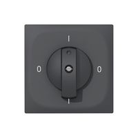 UP-Drehschalter SIDUS E 0/2L anthrazit