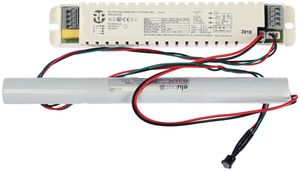 Notlicht-Element AWAG WRLED013AT, ≤120VA 12/24/48VDC, mit Akku 3h