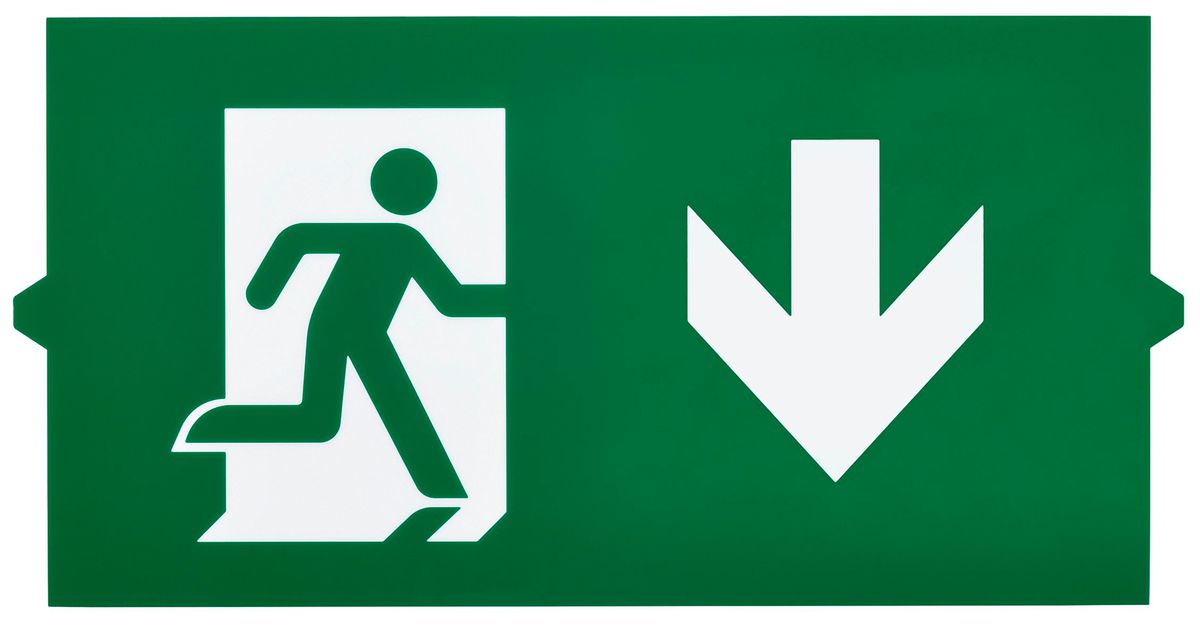 Piktogramm Philips EM155Z Ausgang nach unten Doppelseitig 314×158mm