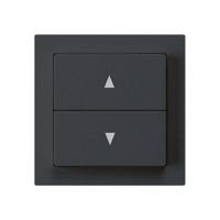 Interrupteur pour stores kallysto noir avec 2 touches bornes enfichables
