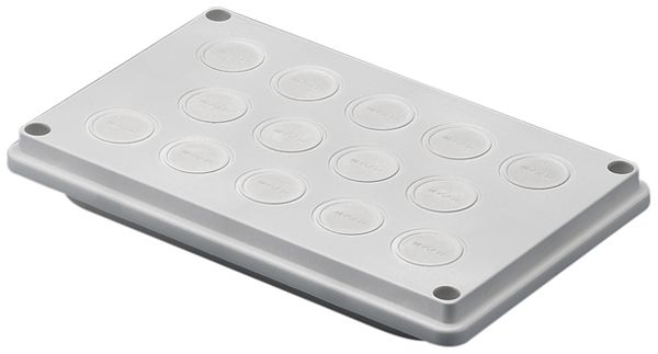 Passe-câbles Rittal SV 9665.750 250×160mm matière synthétique membrane