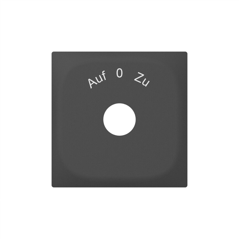 Plaque frontale SIDUS avec gravure anthracite