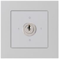 Interruttore rotativo INC kallysto.pro 0/2L grigio chiaro con serratura Kaba 8